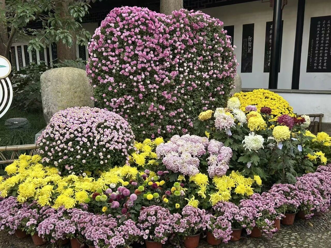 1118_094825_203.jpg 1118_094825_203.jpg