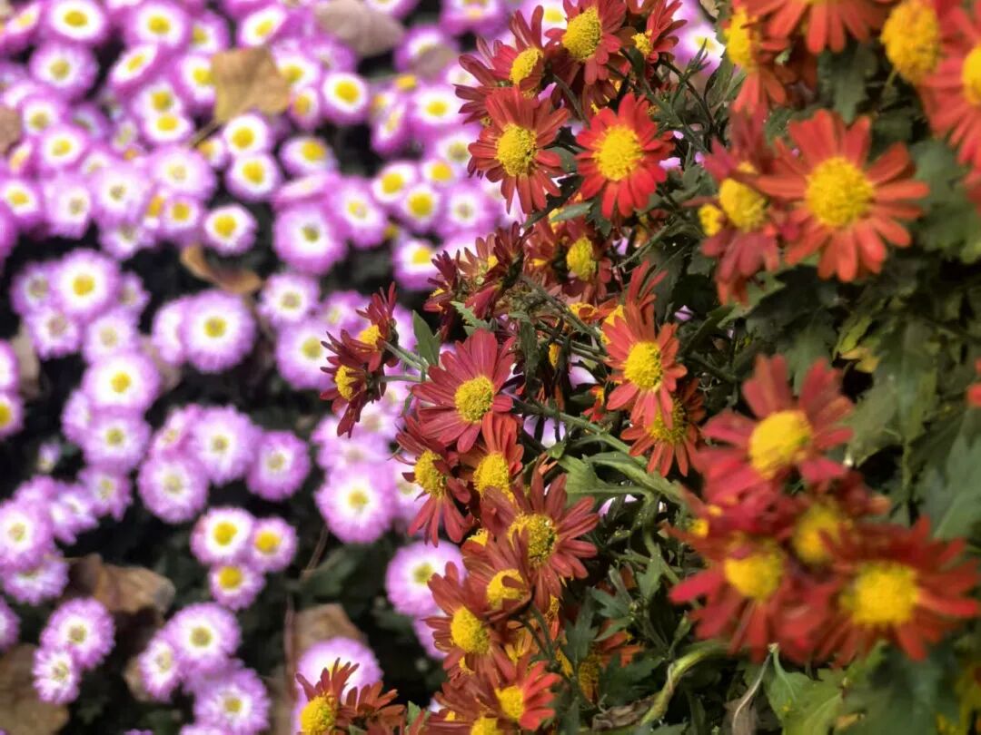 1118_094859_347.jpg 1118_094859_347.jpg