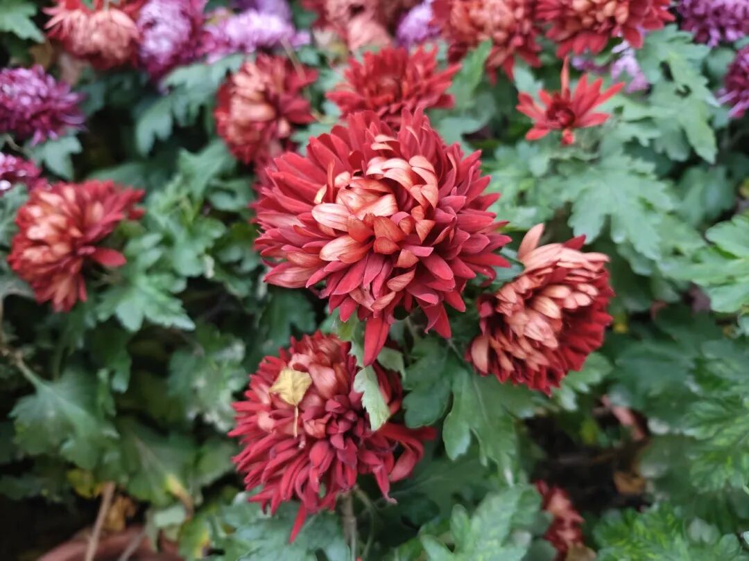 1118_094935_110.jpg 1118_094935_110.jpg