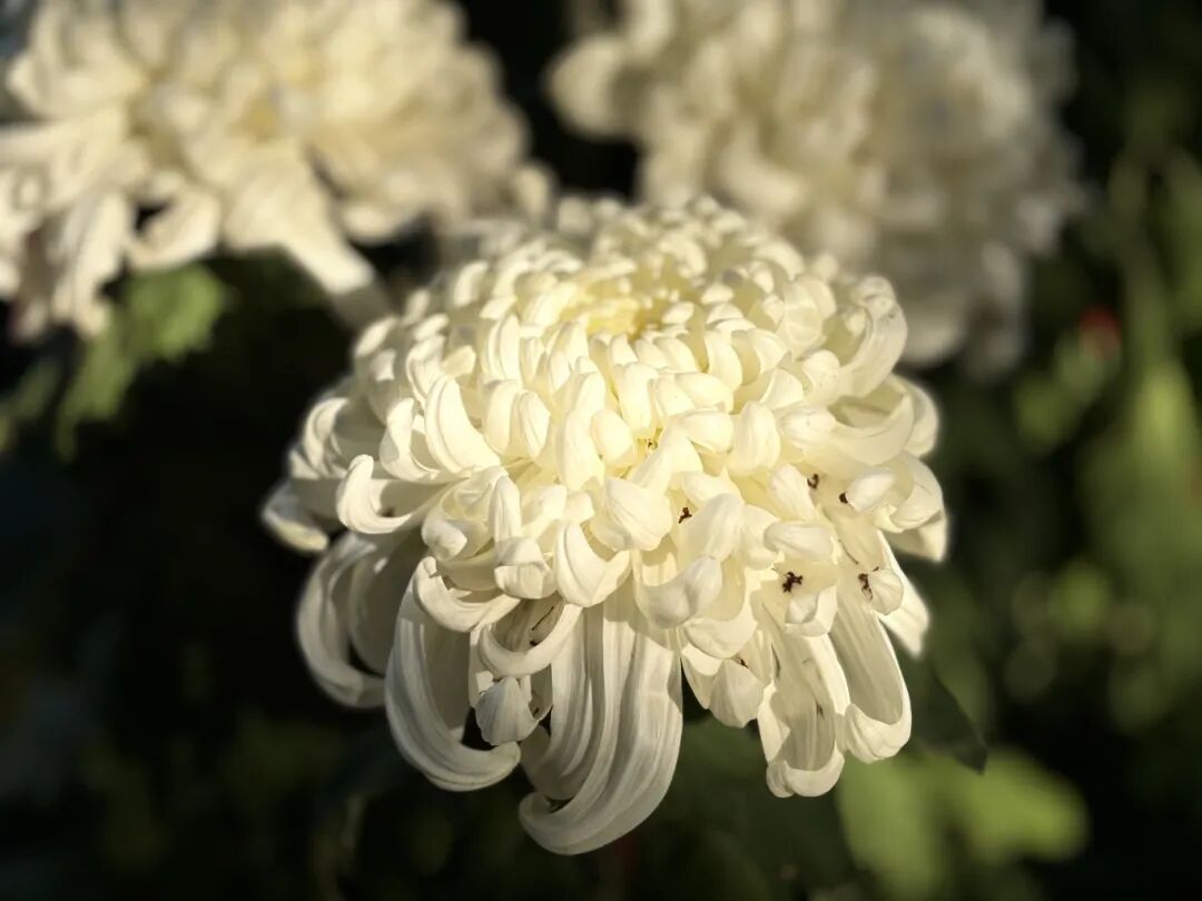 1118_095010_587.jpg 1118_095010_587.jpg