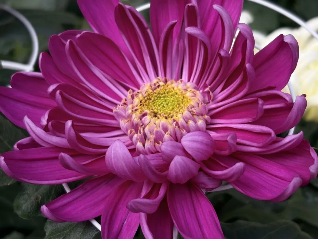 1118_095119_939.jpg 1118_095119_939.jpg