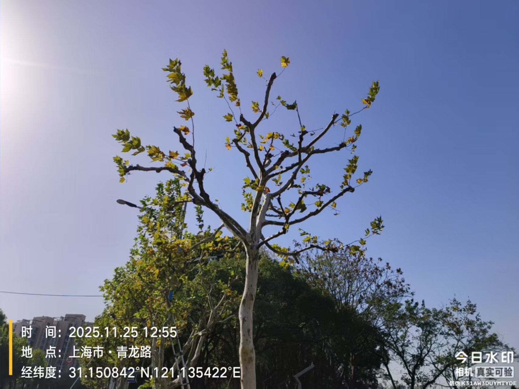 1128_123240_353.jpg 1128_123240_353.jpg