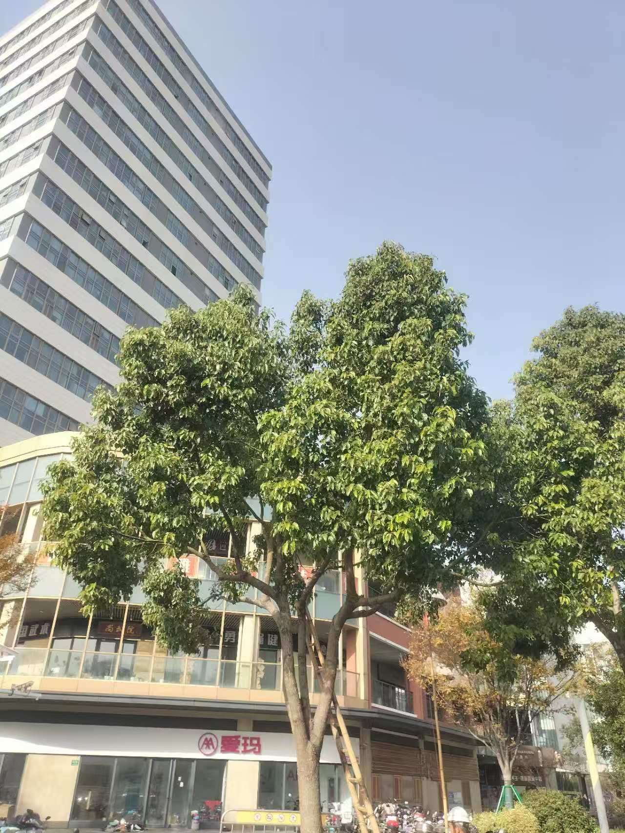 1128_123538_423.jpg 1128_123538_423.jpg