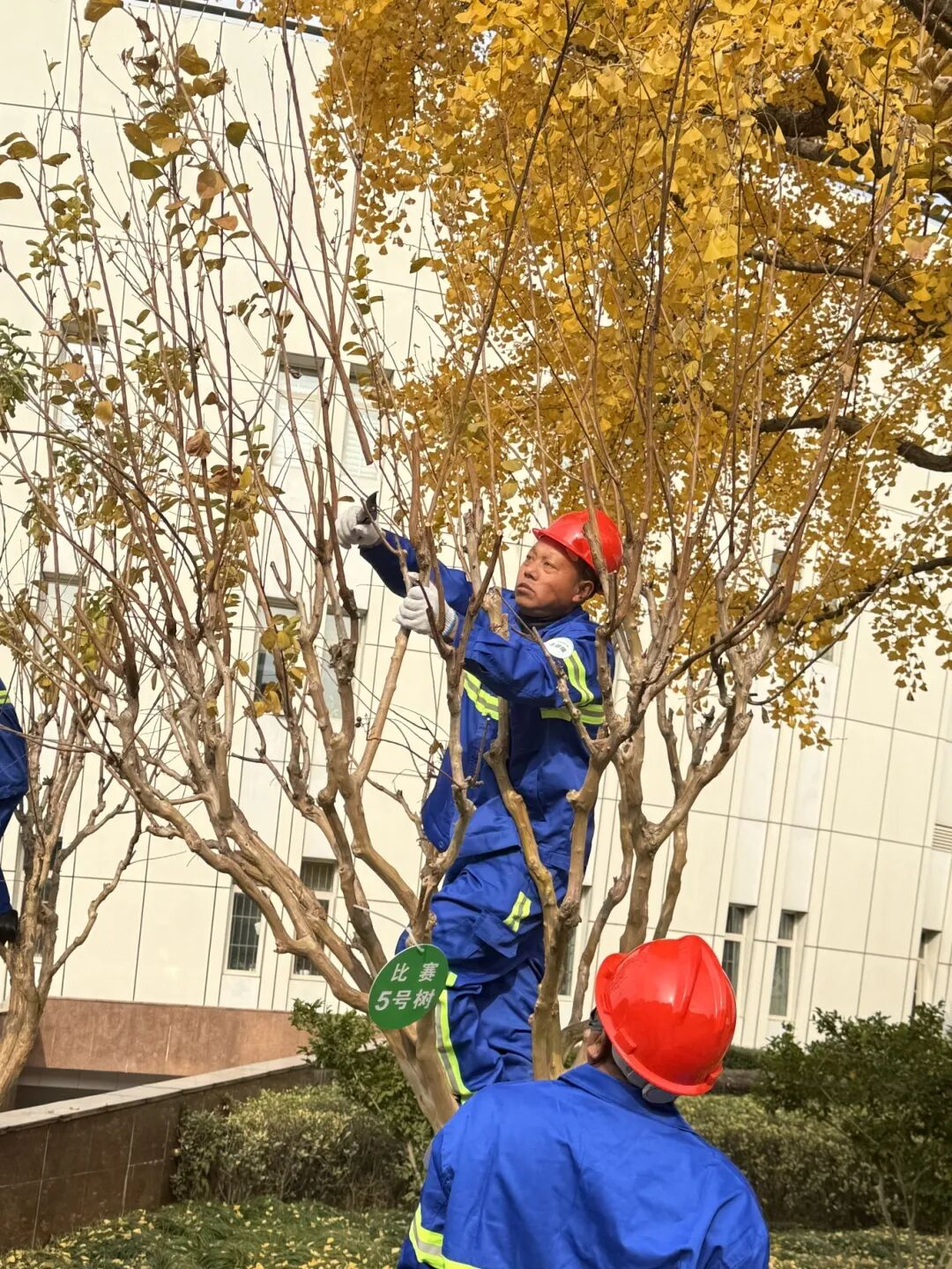 1204_092804_111.png 1204_092804_111.png