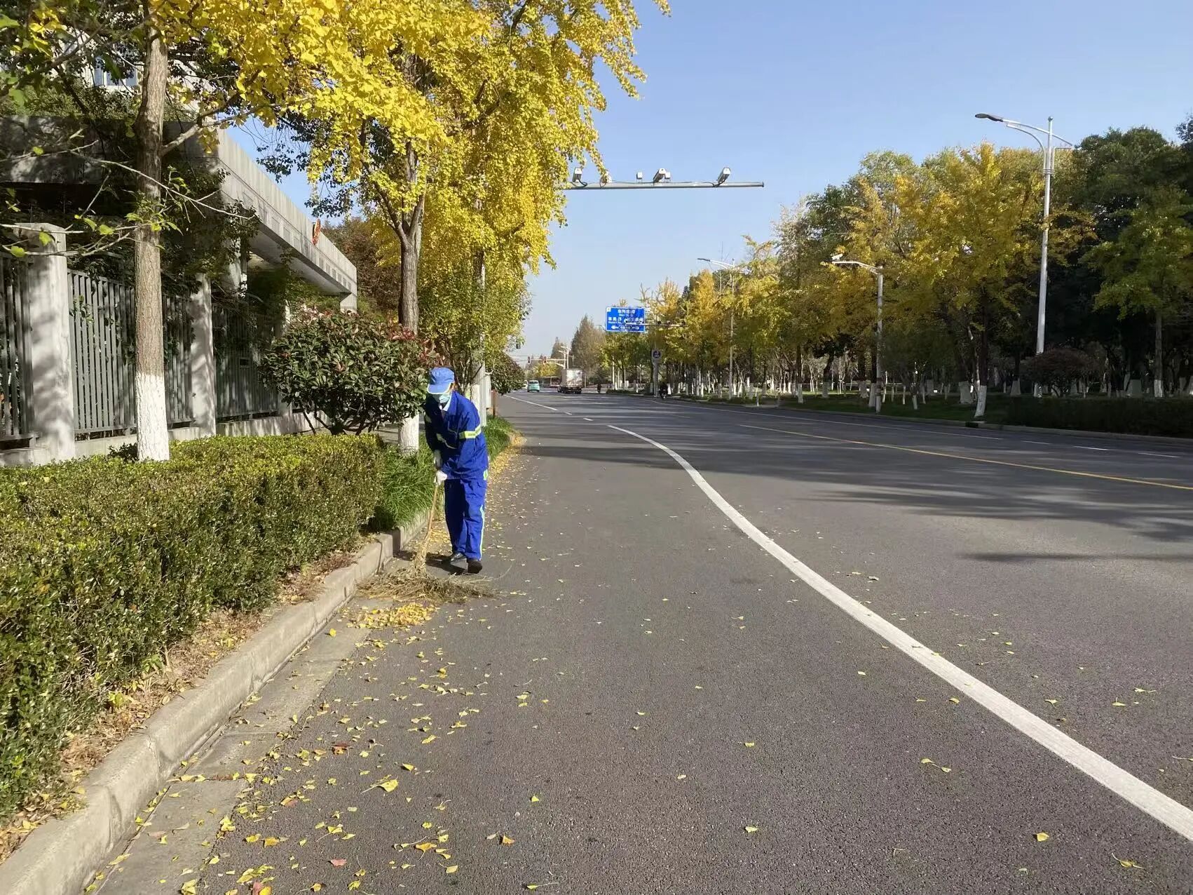 1208_085331_799.jpg 1208_085331_799.jpg