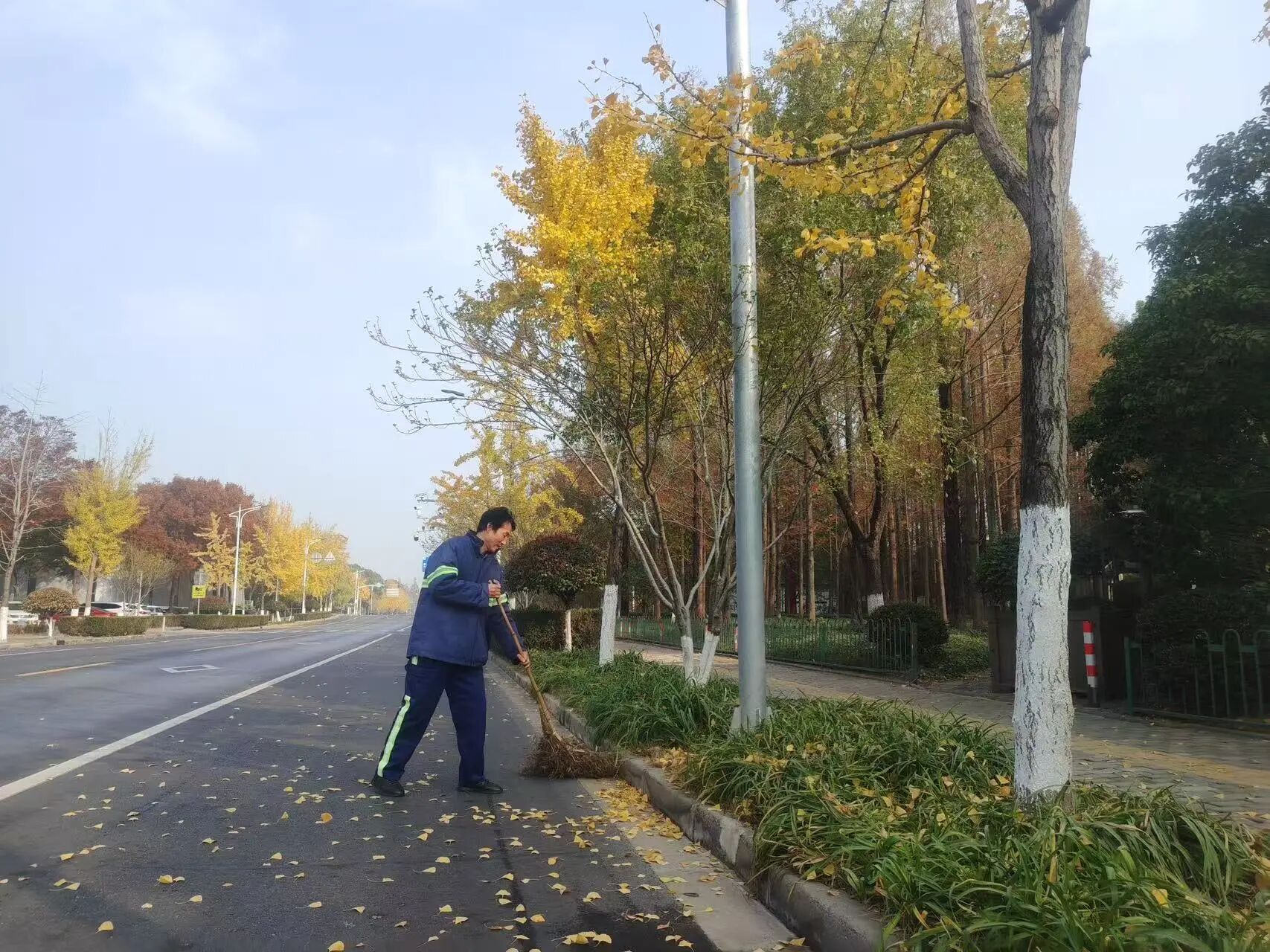 1208_085425_710.jpg 1208_085425_710.jpg