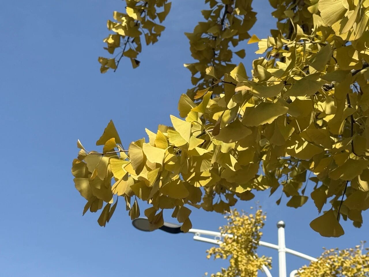 1208_085446_836.jpg 1208_085446_836.jpg