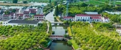青浦区召开林业工作会议