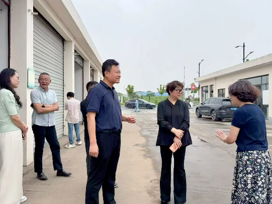 区绿化市容局开展防汛防台专项检查