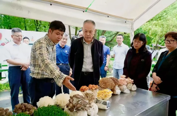 市政协农业和农村委员会来青调研林下经济发展工作