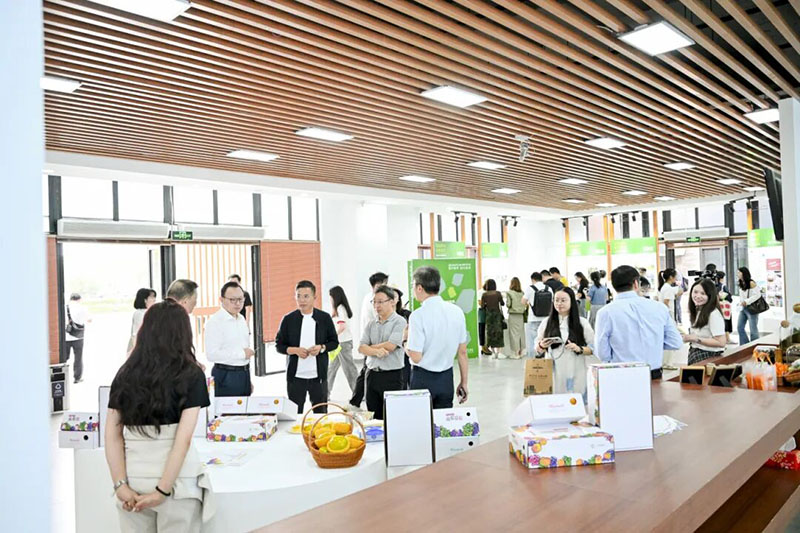 1017_210524_378.jpg 2.jpg