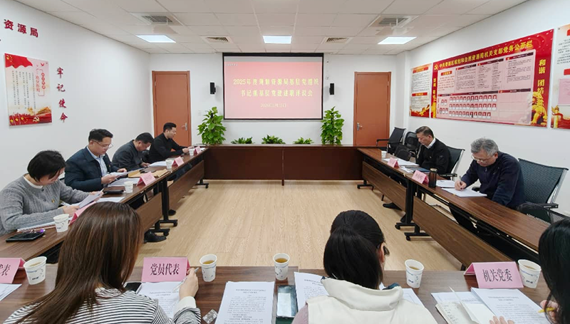 区规划资源局举行2025年度基层党组织书记抓基层党建工作述职评议会