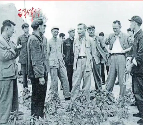 陈云1961年青浦调研