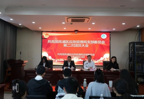 区应急局召开团员大会 圆满完成团支部换届选举