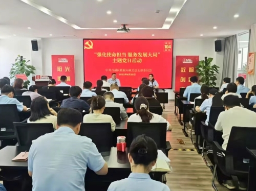区数据局机关党总支开展“强化使命担当 服务发展大局”主题党日活动