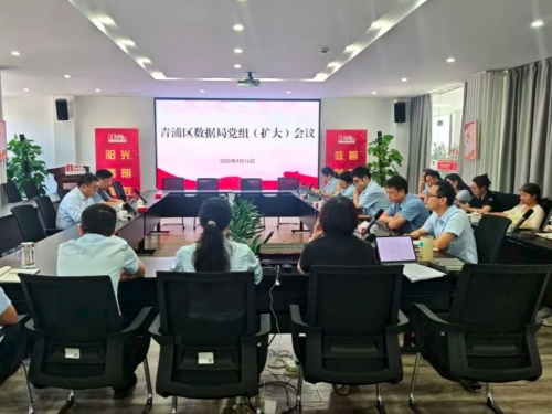巩固拓展学习教育成果，推进作风建设常态化长效化，区数据局党组扩大会议举行