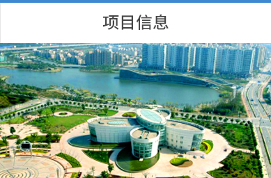 项目信息