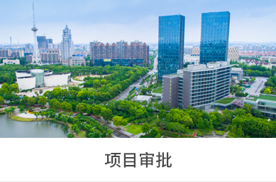 项目审批