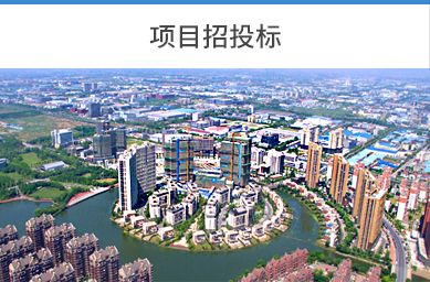 项目招投标