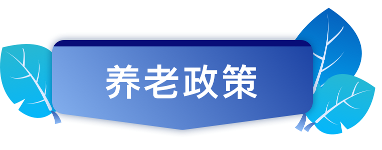 养老政策