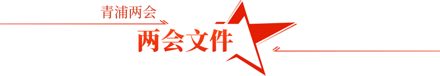 两会文件