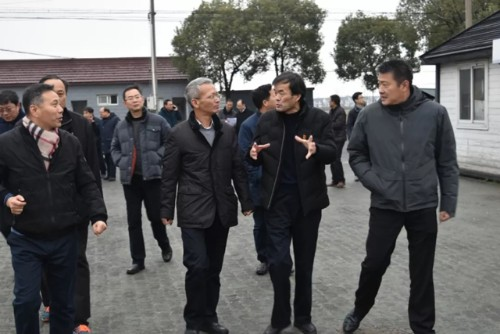 青浦:落实乡村振兴计划 推动美丽乡村建设