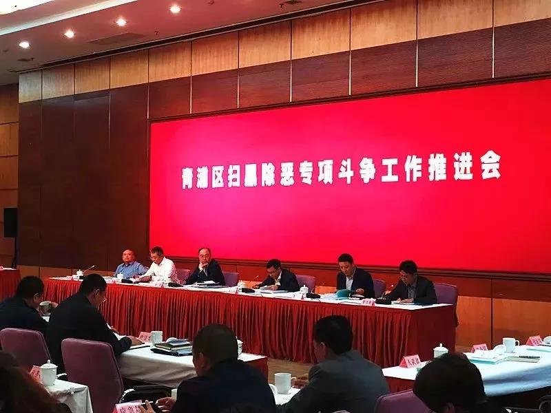 青浦区召开扫黑除恶专项斗争工作推进会