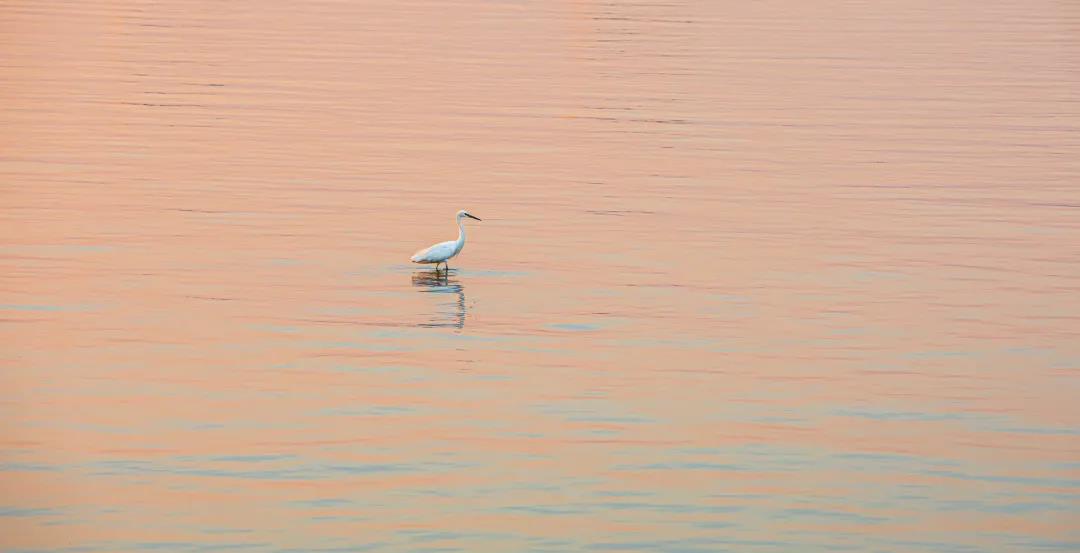 1122_091729_113.jpg 1122_091729_113.jpg