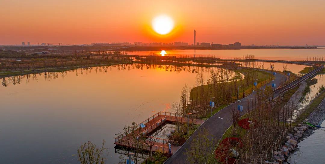 1122_091742_916.jpg 1122_091742_916.jpg