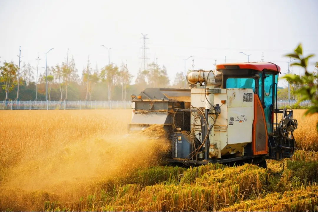 1213_102811_139.png 1213_102811_139.png