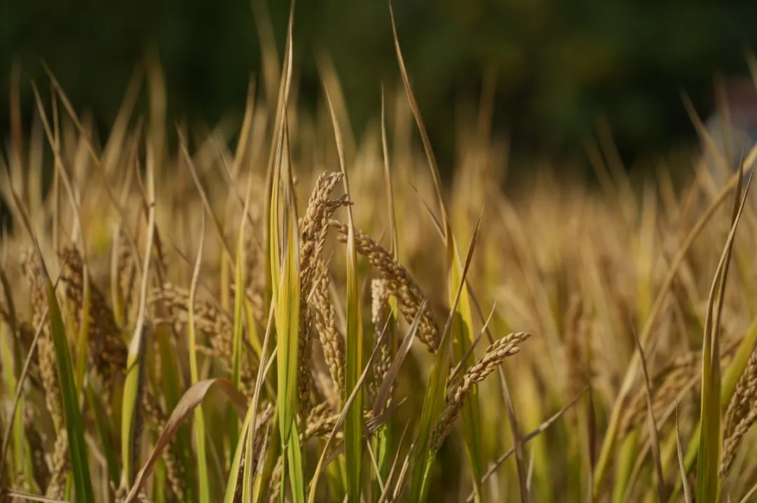 1213_102811_751.png 1213_102811_751.png