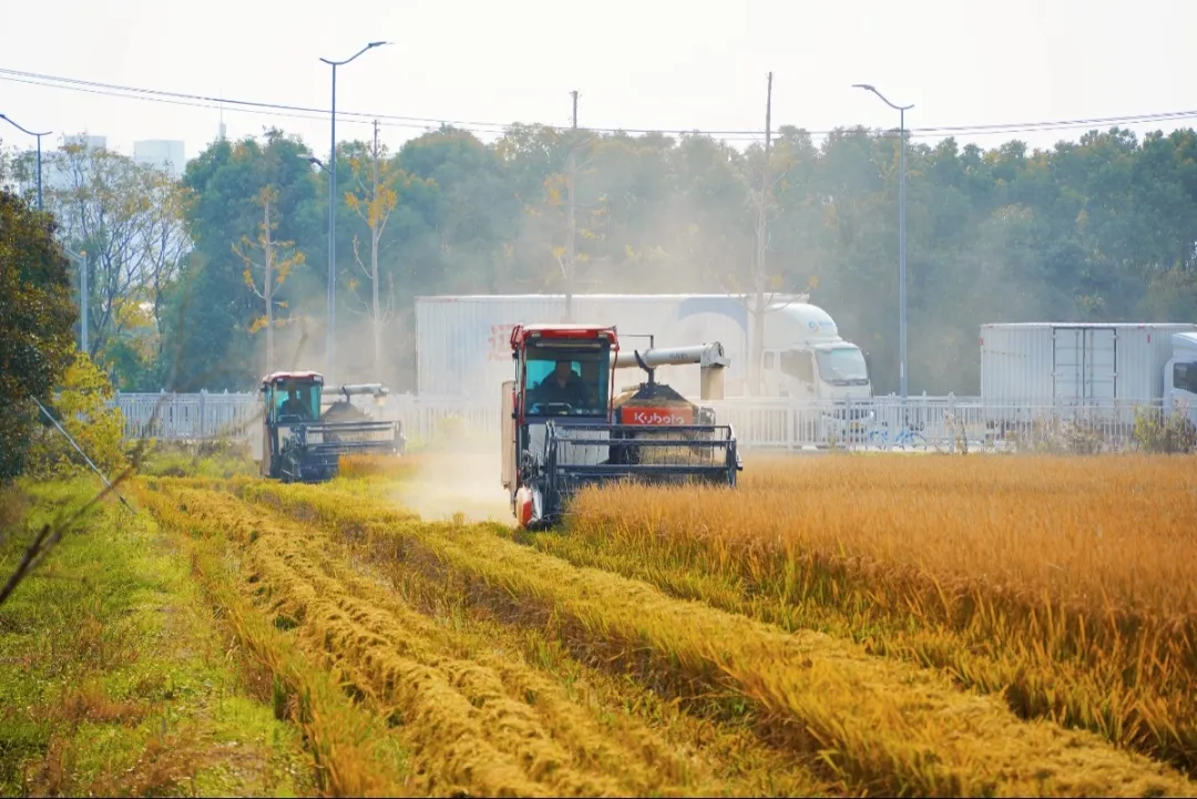 1213_102811_770.png 1213_102811_770.png