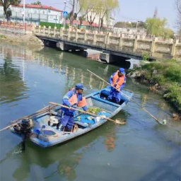 【学习教育】三统筹四提升 | 区绿化市容局：党建领航绘新卷 全域整治焕新颜