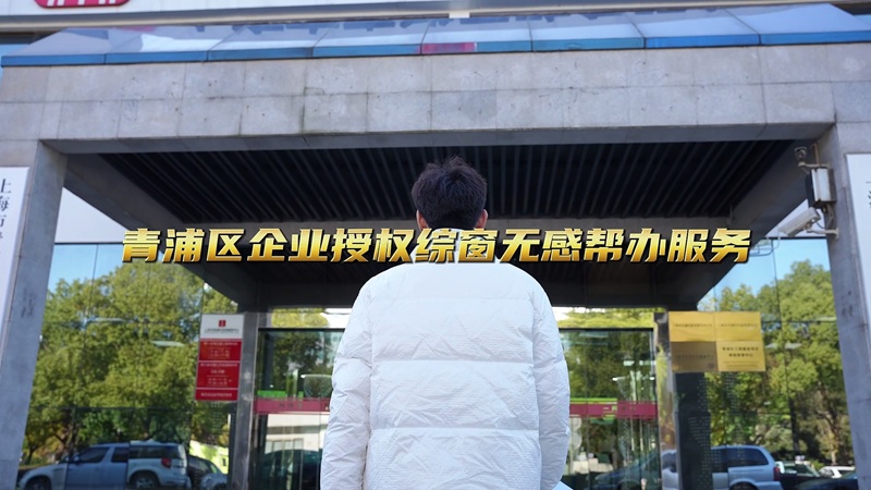 青浦区企业授权综窗无感帮办服务