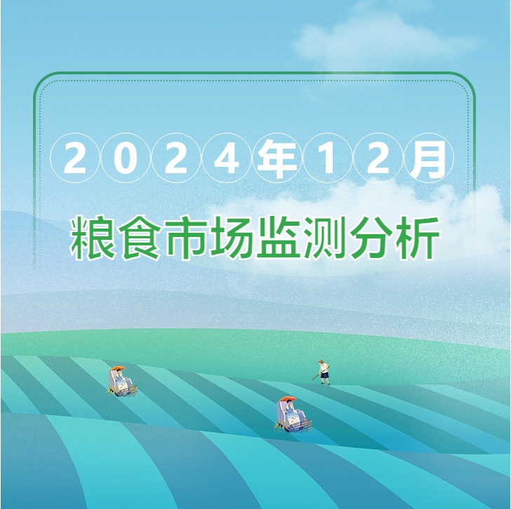 2024年12月粮油市场监测分析