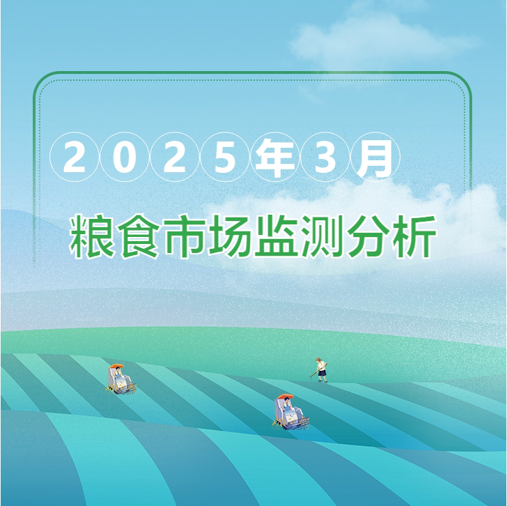 2025年3月粮油市场监测分析