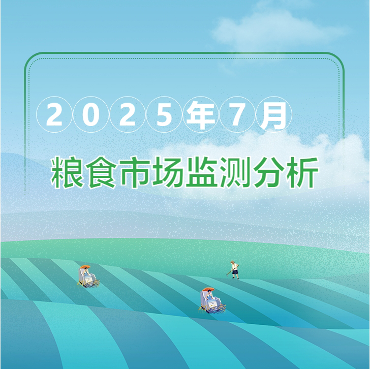 2025年7月粮油市场监测分析