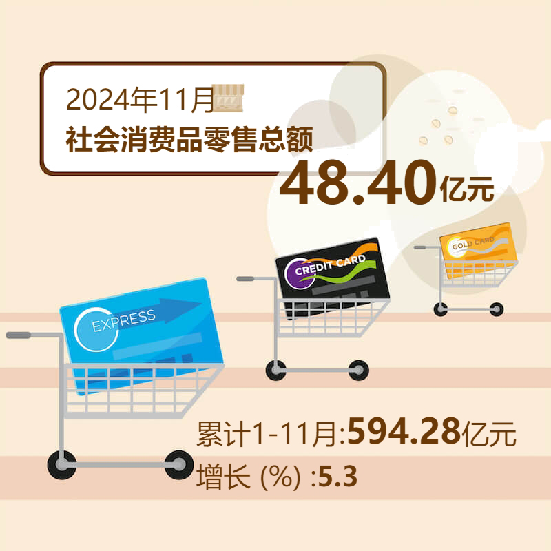 2024年11月社会消费品零售总额