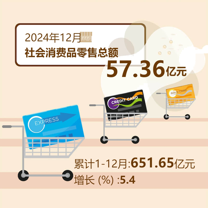 2024年12月社会消费品零售总额