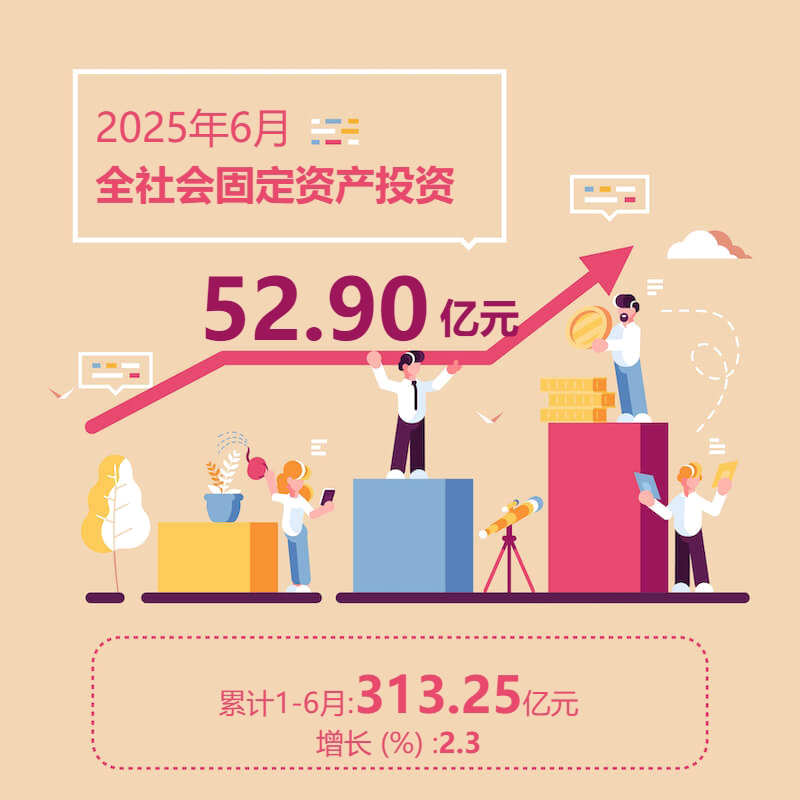 2025年6月全社会固定资产投资
