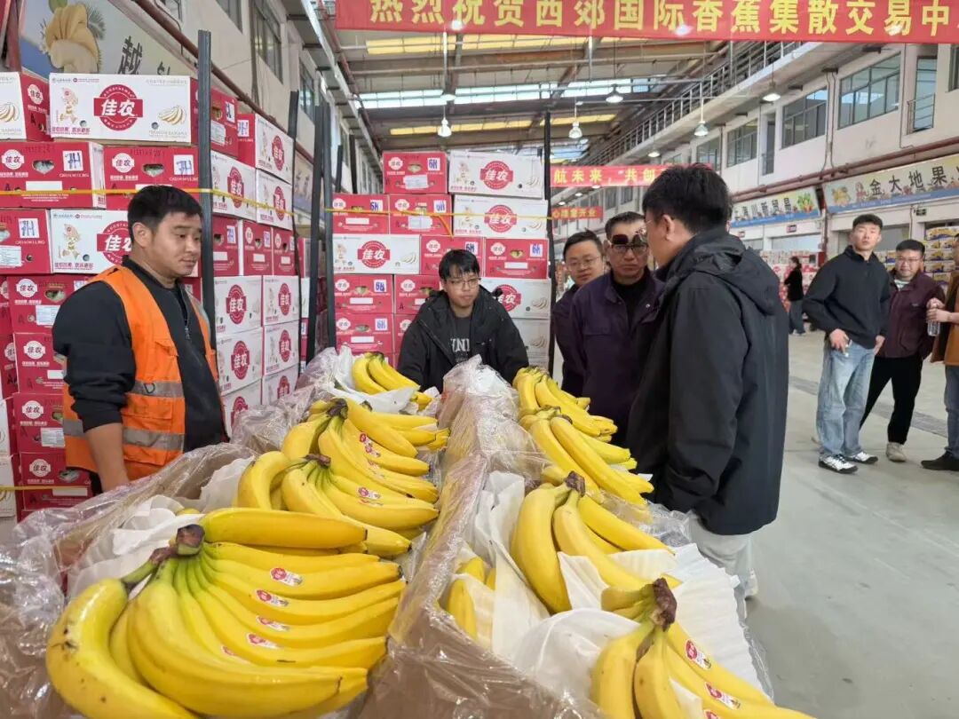 1030_103732_116.jpg 1030_103732_116.jpg