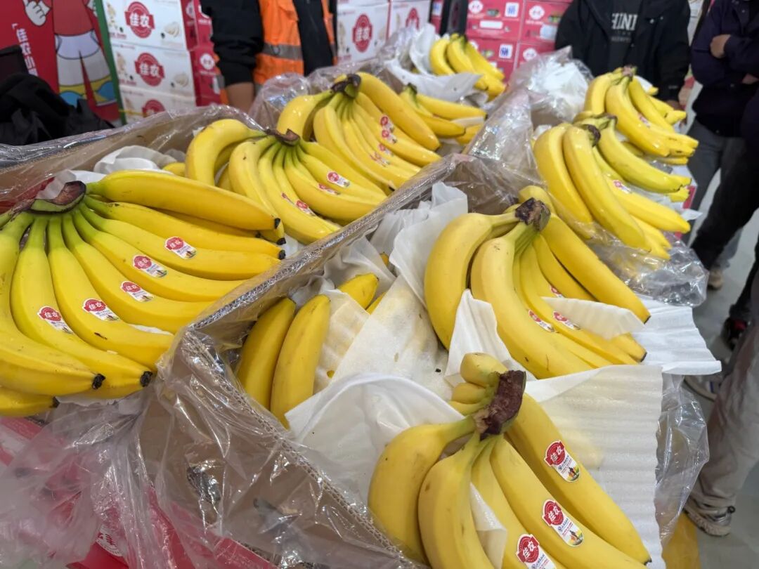 1030_103800_828.jpg 1030_103800_828.jpg