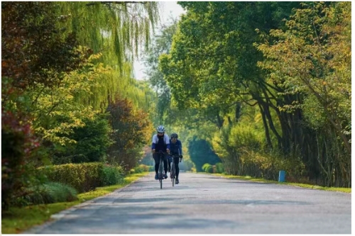 香满秋·一起游丨被青浦这条路线硬控，骑行住民宿，追风也自由