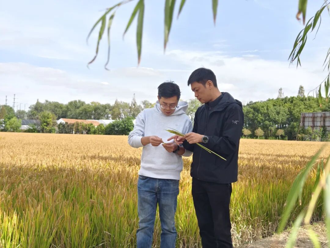 1105_081655_598.jpg 1105_081655_598.jpg