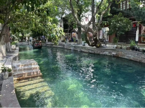 太美了！朱家角“果冻河”惊艳人间！随手拍就是壁纸