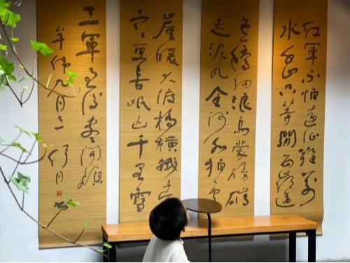 各国游客走进朱家角里的“舒”适区，原来青浦还能这样玩！