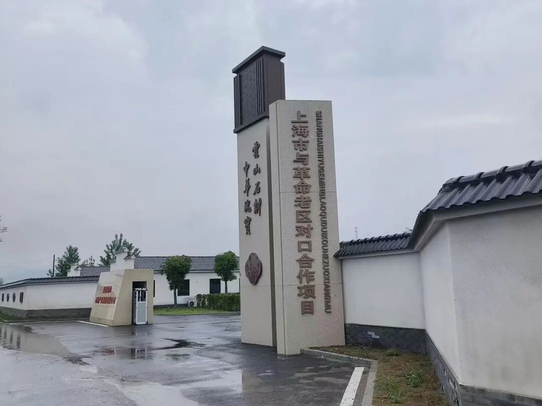 1128_130026_384.jpg 1128_130026_384.jpg