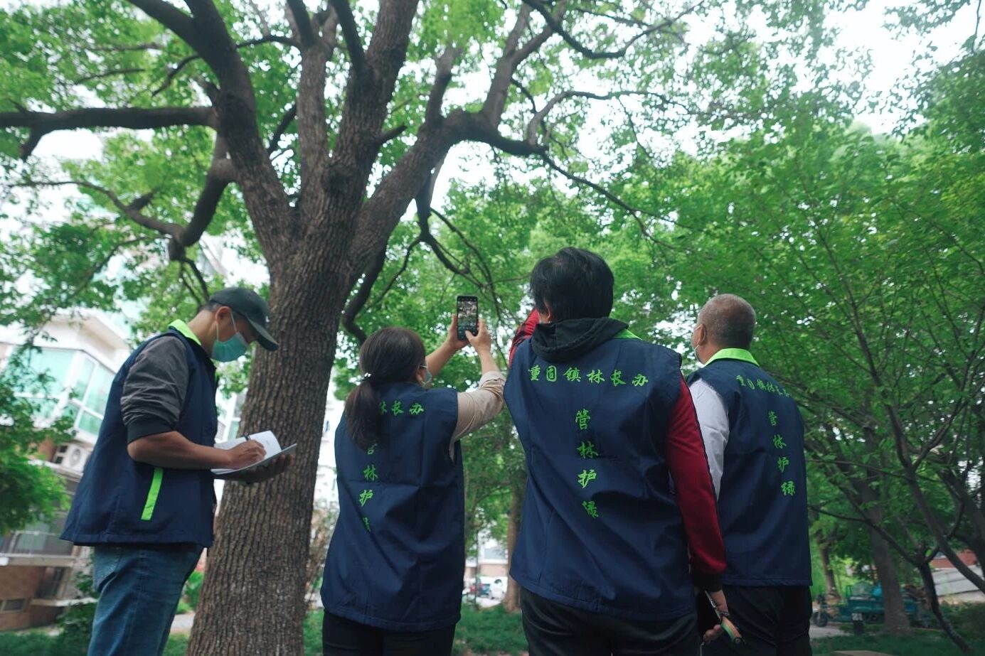 1223_140825_801.jpg 1223_140825_801.jpg