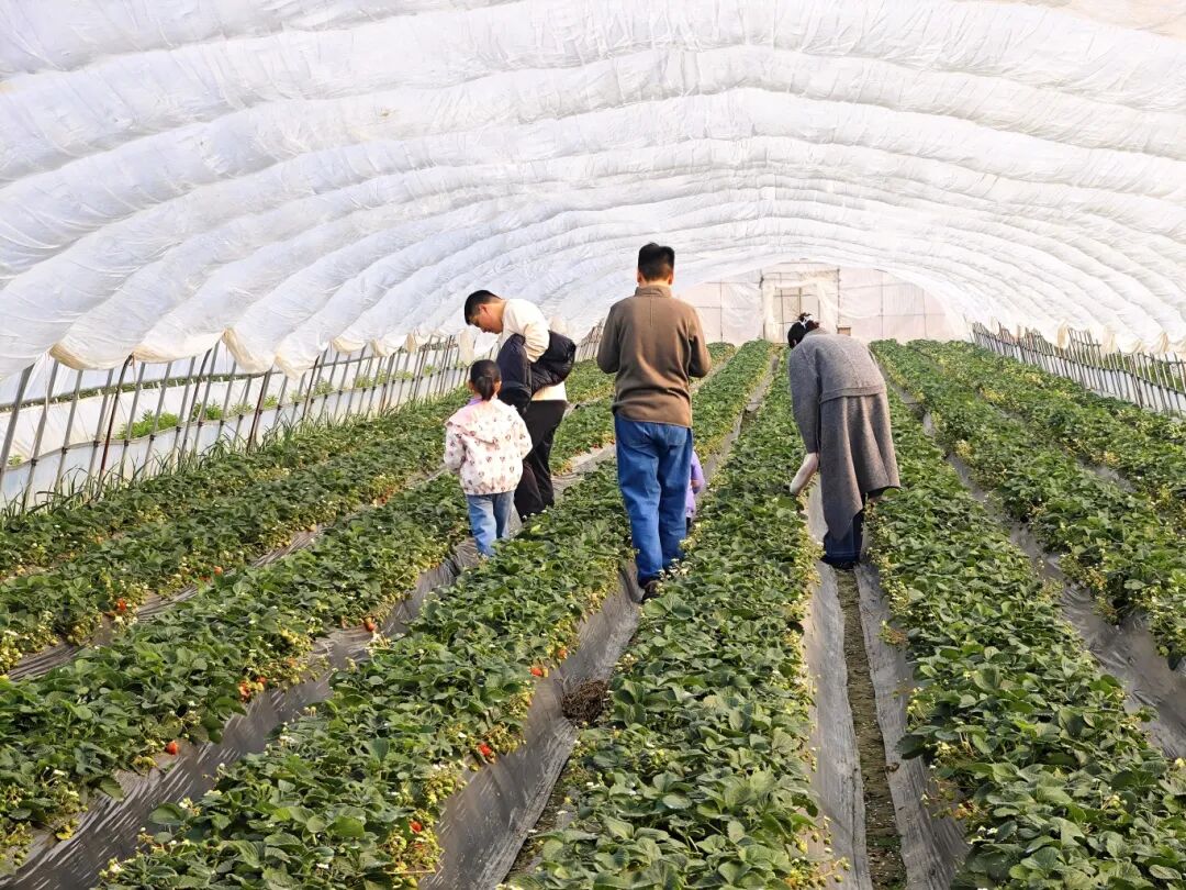 1224_085344_680.jpg 1224_085344_680.jpg