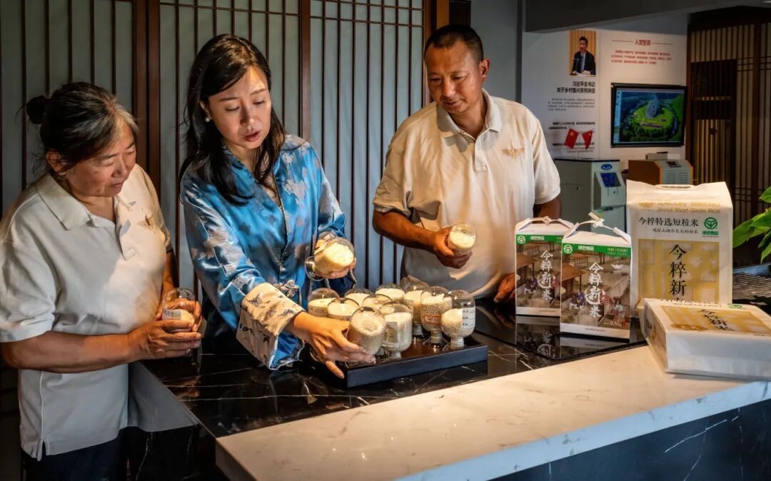 1229_115433_649.jpg 1229_115433_649.jpg